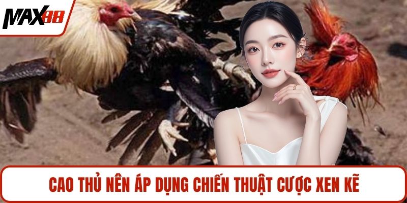 Cao thủ nên áp dụng chiến thuật cược xen kẽ