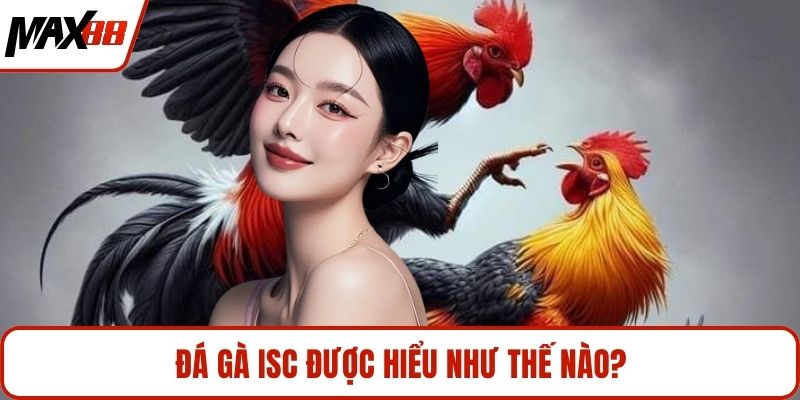 Đá gà ISC được hiểu như thế nào?