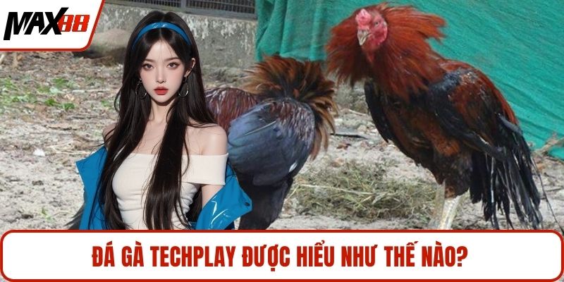 Đá gà Techplay được hiểu như thế nào?