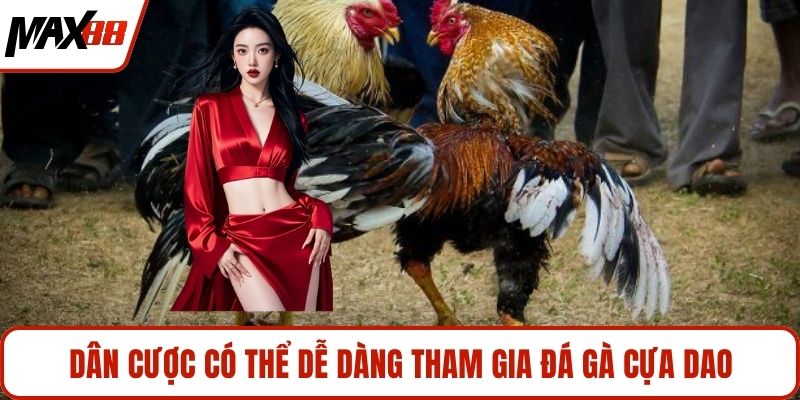 Dân cược có thể dễ dàng tham gia đá gà cựa dao