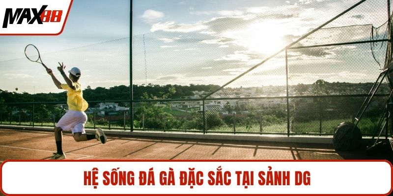 Hệ sống đá gà đặc sắc tại sảnh DG