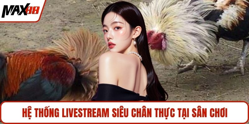 Hệ thống livestream siêu chân thực tại sân chơi