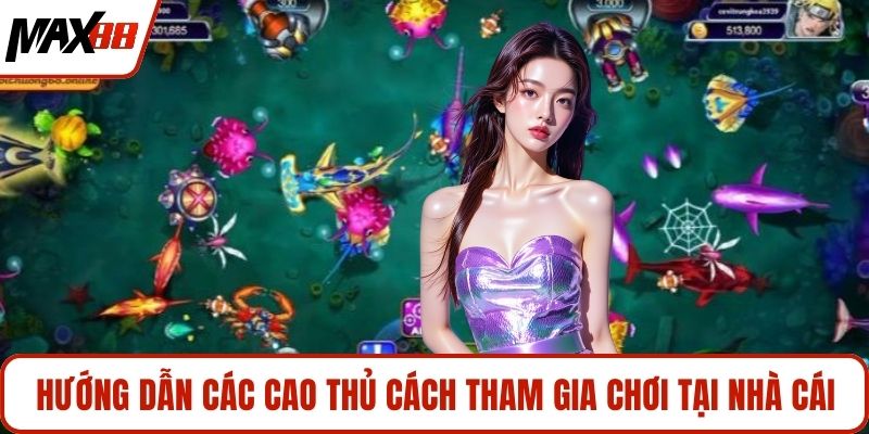 Hướng dẫn các cao thủ cách tham gia chơi tại nhà cái