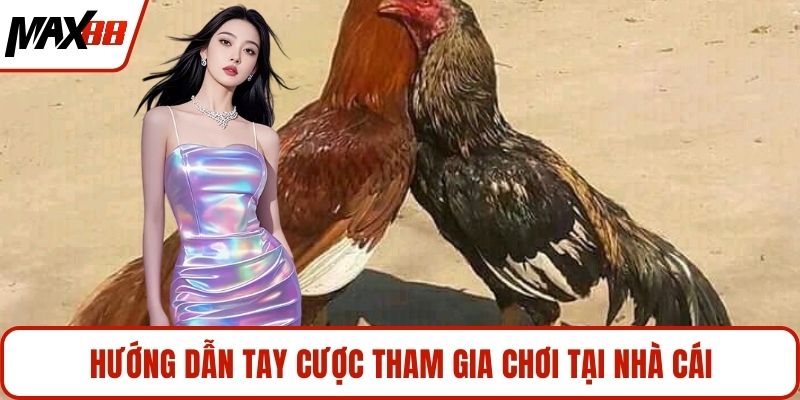 Hướng dẫn tay cược tham gia chơi tại nhà cái