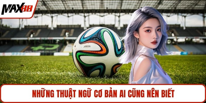 Những thuật ngữ cơ bản ai cũng nên biết