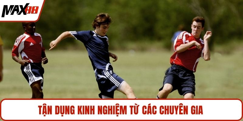 Tận dụng kinh nghiệm từ các chuyên gia