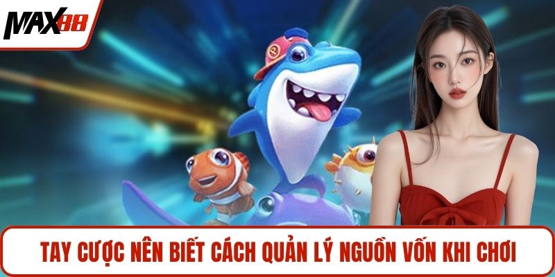 Tay cược nên biết cách quản lý nguồn vốn khi chơi