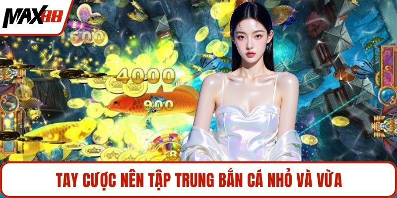Tay cược nên tập trung bắn cá nhỏ và vừa