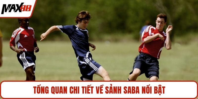 Tổng quan chi tiết về sảnh saba nổi bật